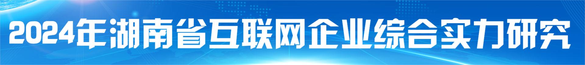 2021年湖南省互联网企业50强